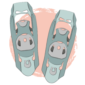 Snowshoes