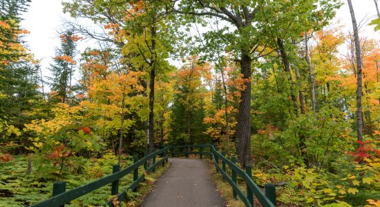 aventure-eco-parc-mauricie_photo_parc_4